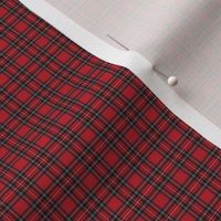 Royal Stewart Tartan petite