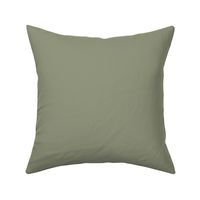 Neutral Mid-tone Green Solid Color Pairs Valspars 2022 Color of the Year Blanched Thyme 6001-4A