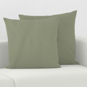 Neutral Mid-tone Green Solid Color Pairs Valspars 2022 Color of the Year Blanched Thyme 6001-4A
