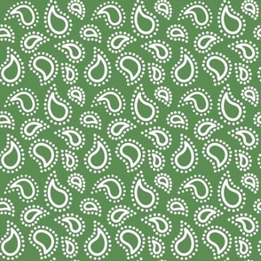 Mini paisley to match petal solid Kelly green 