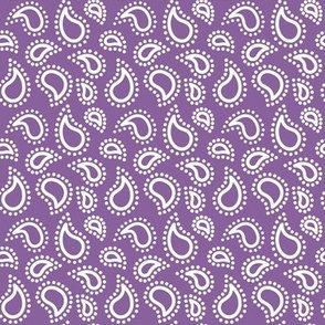 Mini paisley to match petal solid Orchid