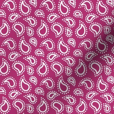 Mini paisley to match berry petal solid 