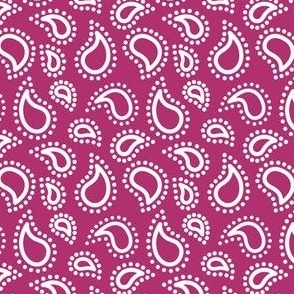 Mini paisley to match berry petal solid 
