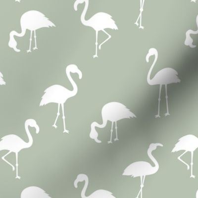 Flamingo paradise minimalist style tropical birds island vibes summer sage green white