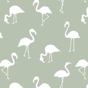 Flamingo paradise minimalist style tropical birds island vibes summer sage green white
