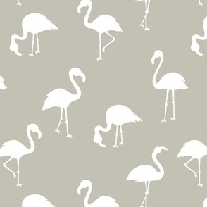 Flamingo paradise minimalist style tropical birds island vibes summer beige sand white neutral