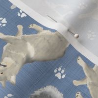 Trotting Swedish Vallhund and paw prints - faux denim