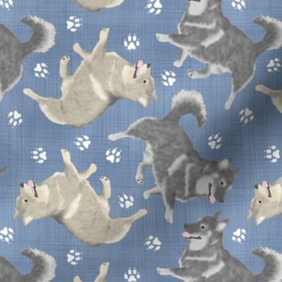 Trotting Swedish Vallhund and paw prints - faux denim