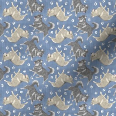 Tiny Trotting Swedish Vallhund and paw prints - faux denim