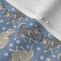 Tiny Trotting Swedish Vallhund and paw prints - faux denim