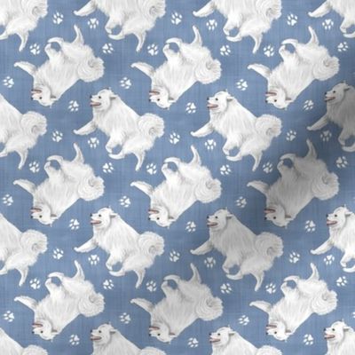 Tiny Trotting American Eskimo Dog and paw prints - faux denim