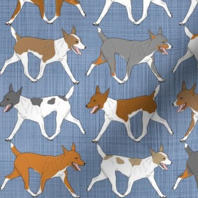 Trotting Rat terrier border - faux denim