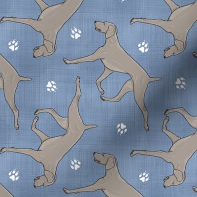 Trotting Weimaraner and paw prints - faux denim