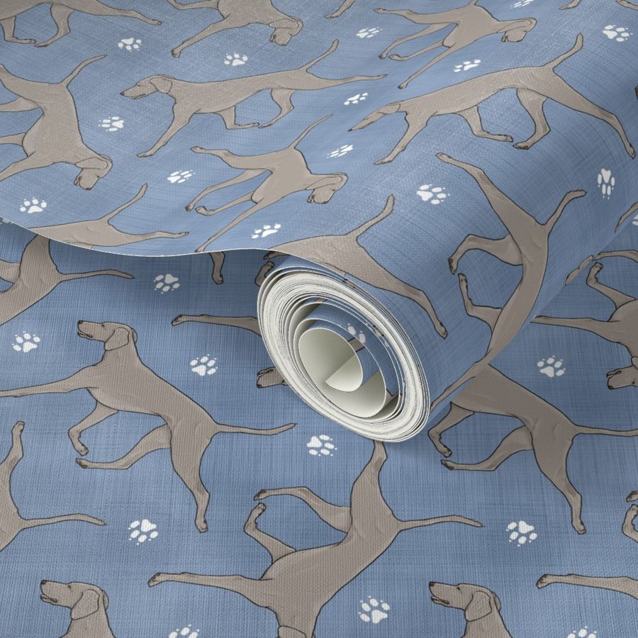 Trotting undocked Weimaraner and paw prints - faux denim