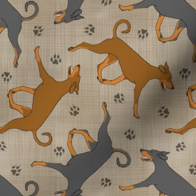 Trotting natural Doberman Pinschers and paw prints - faux linen