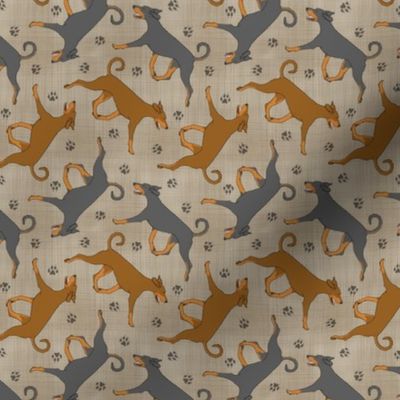 Tiny Trotting natural Doberman Pinschers and paw prints - faux linen