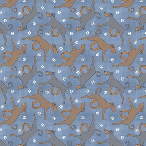 Trotting natural dilute Doberman Pinschers and paw prints - faux denim