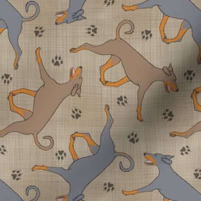 Trotting natural dilute Doberman Pinschers and paw prints - faux linen