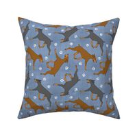 Trotting uncropped Doberman Pinschers and paw prints - faux denim