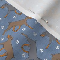 Tiny Trotting uncropped dilute Doberman Pinschers and paw prints - faux denim