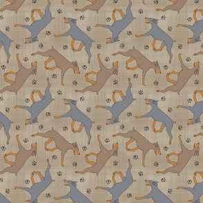 Trotting uncropped dilute Doberman Pinschers and paw prints - faux linen
