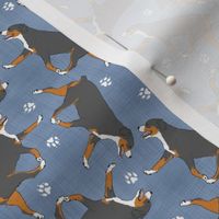 Tiny Trotting Entlebucher mountain dog and paw prints - faux denim