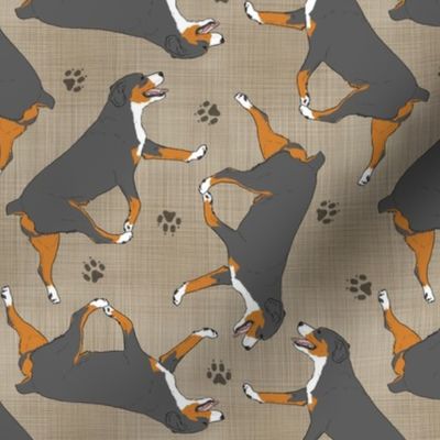 Trotting Entlebucher mountain dog and paw prints - faux linen