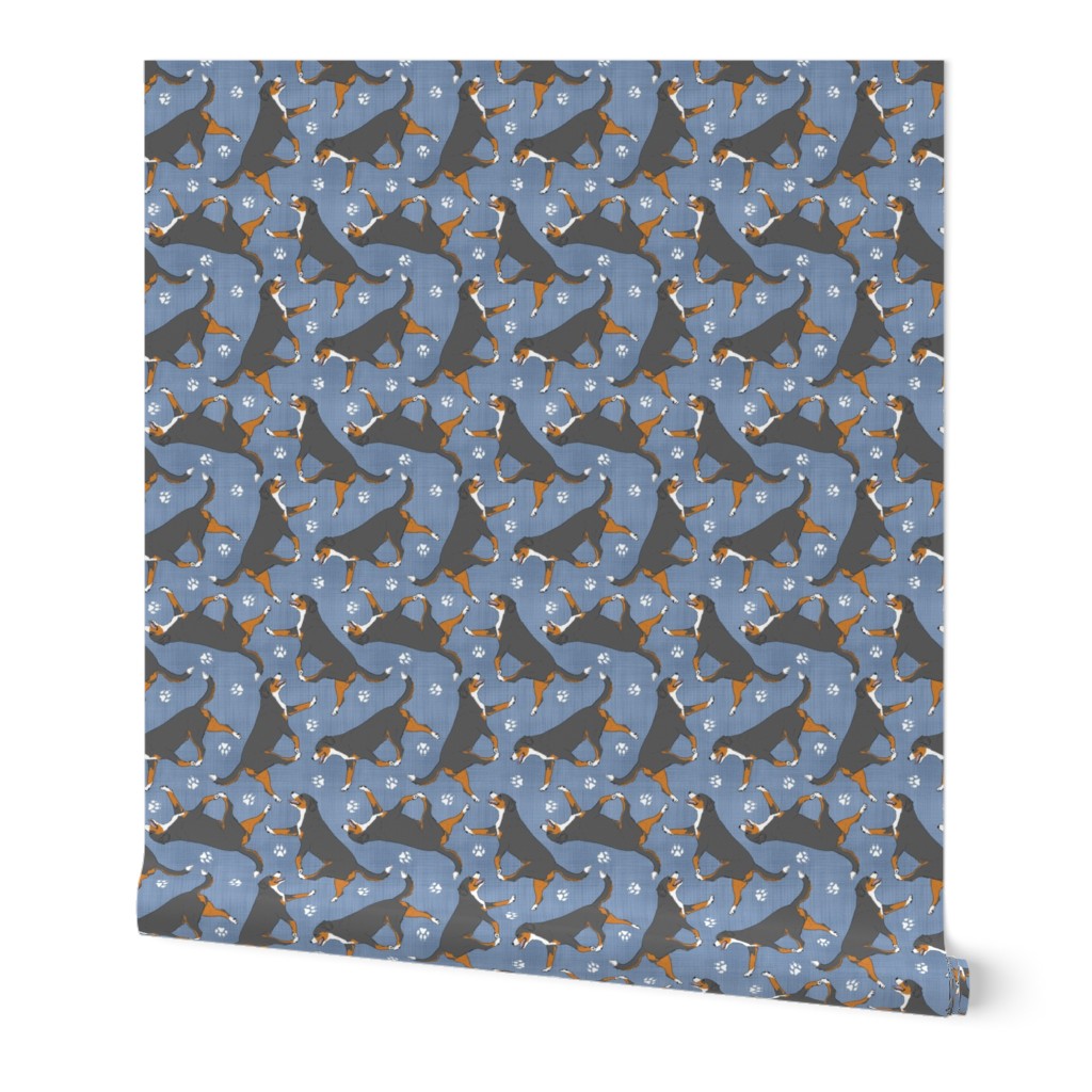 Trotting tailed Entlebucher mountain dog and paw prints - faux denim