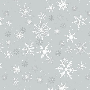 Snow Day 2 - White/Gray