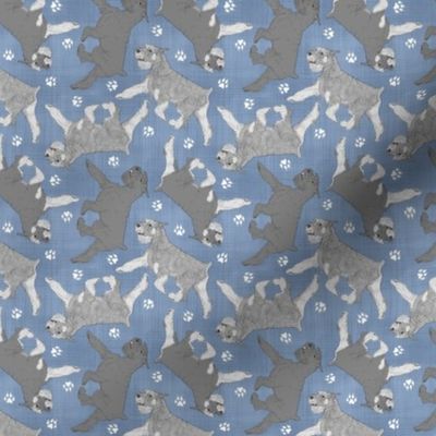 Tiny Trotting Standard Schnauzers and paw prints - faux denim