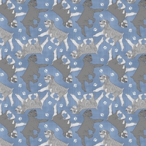 Trotting uncropped Standard Schnauzers and paw prints - faux denim