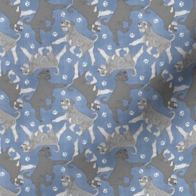 Tiny Trotting natural Standard Schnauzers and paw prints - faux denim