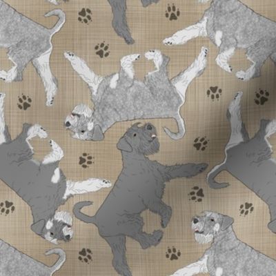 Trotting natural Standard Schnauzers and paw prints - faux linen