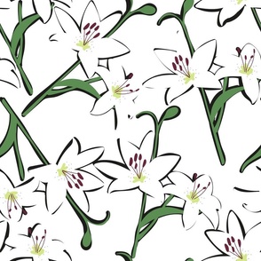 white lilies on white