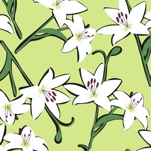 lilies white on honeydew