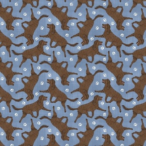 Trotting American Water Spaniel and paw prints - faux denim