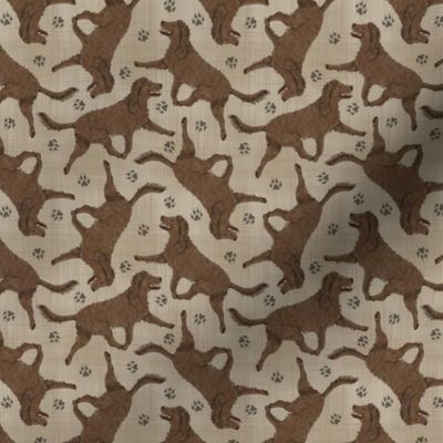 Tiny Trotting American Water Spaniel and paw prints - faux linen