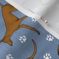 Trotting Cirneco Dell'Etna and paw prints - faux denim