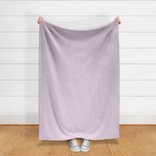 Pastel Purple Solid Color - Valspar 2022 Color of the Year Lilac Lane 1002-4B Colour Trends - Popular Hues