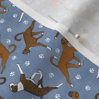 Tiny Trotting natural Boxers and paw prints - faux denim