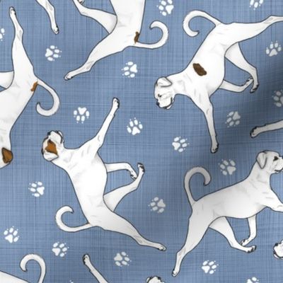 Trotting natural White Boxers and paw prints - faux denim