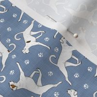 Tiny Trotting natural White Boxers and paw prints - faux denim