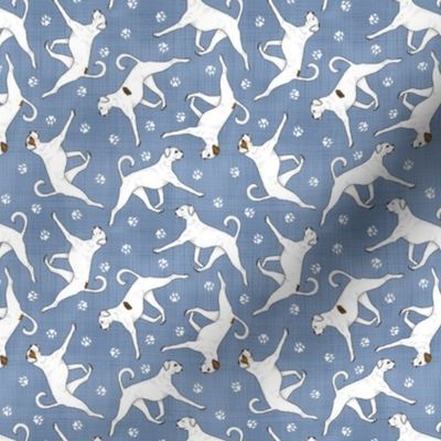 Tiny Trotting natural White Boxers and paw prints - faux denim