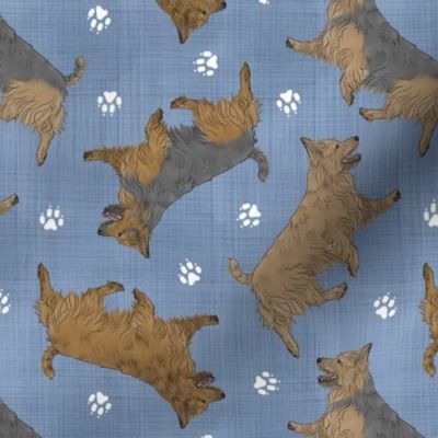 Trotting Australian Terriers and paw prints - faux denim