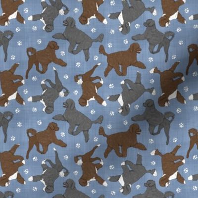 Tiny Trotting assorted Portuguese water dogs and paw prints - faux denim