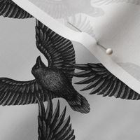 Raven(50% scale) - silver