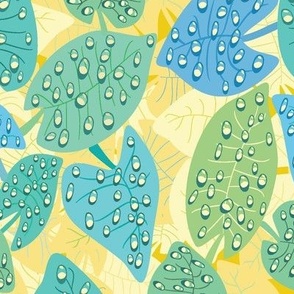 Rain Droplets on Leaves