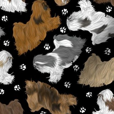 Trotting assorted Lhasa Apso and paw prints - black