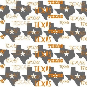TEXAS typography with state outline - orange text