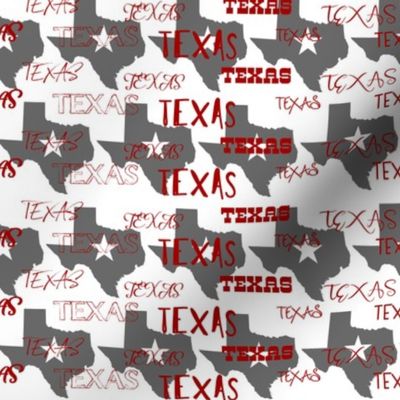 TEXAS typography with state outline